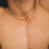 Brent y Brody, dorado